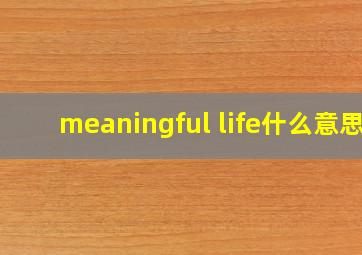 meaningful life什么意思